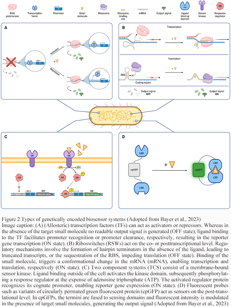 Application of Synthetic Biology in Environmental Remediation and ...