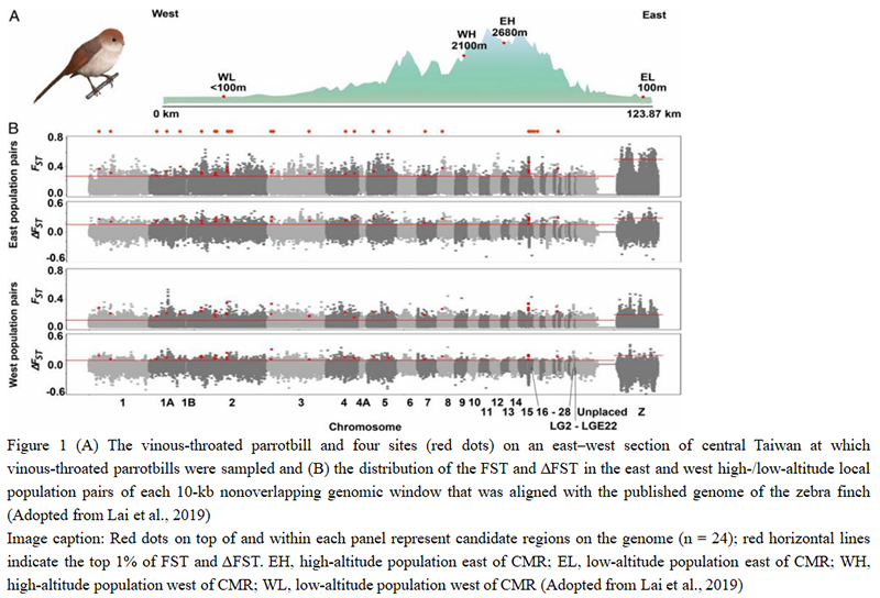 Adaptive Evolution in Wild Animals: Key Traits and Evolutionary ...