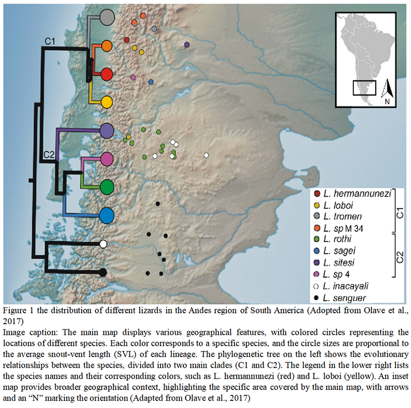 Predicting the Future of Reptile Diversity under Climate Change ...