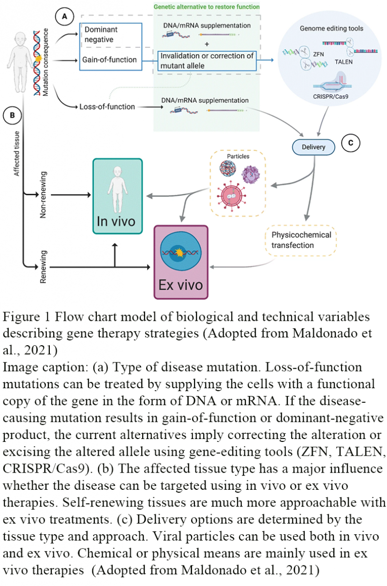 The Future of Genome Engineering: Precision, Efficiency, and Ethical ...
