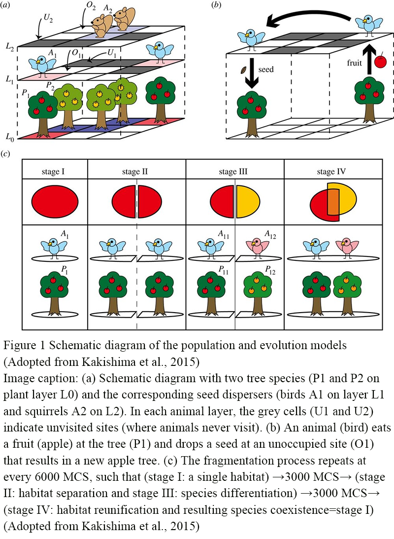 Mechanisms and Patterns of Seed Dispersal in Terrestrial Ecosystems ...