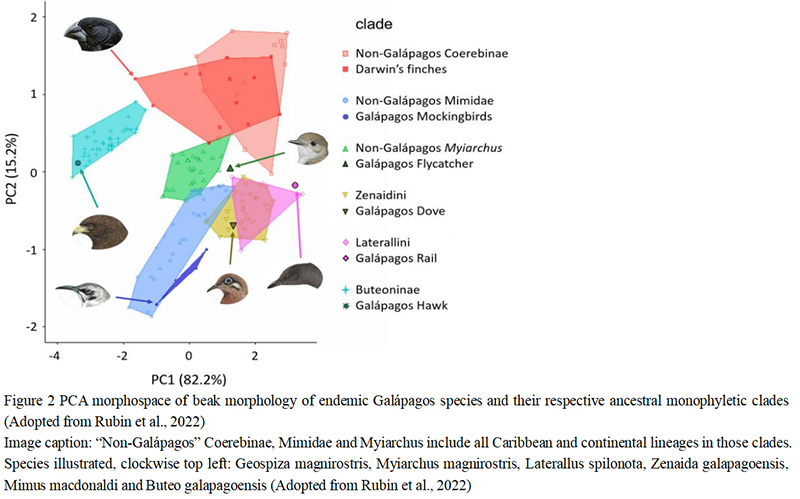 Adaptive Evolution in Wild Animals: Key Traits and Evolutionary ...