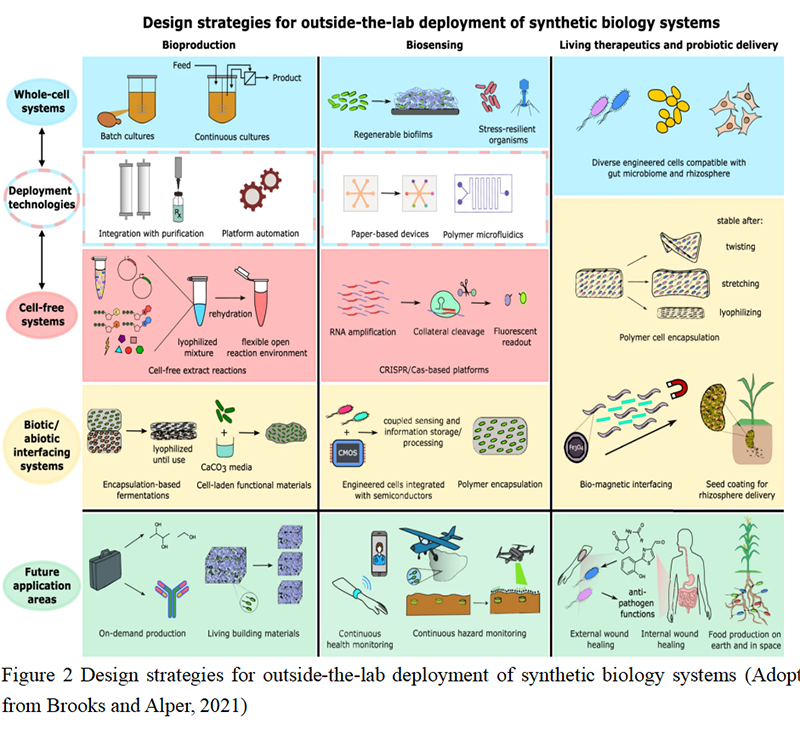 Synthetic Biology Innovations and Intellectual Property: Future Balance ...